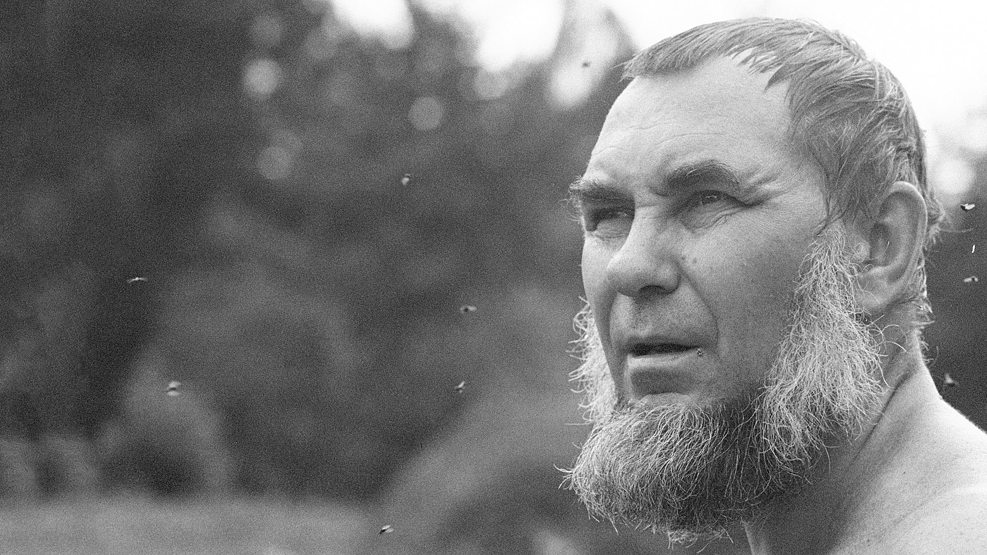 Avaleht-karusell_10